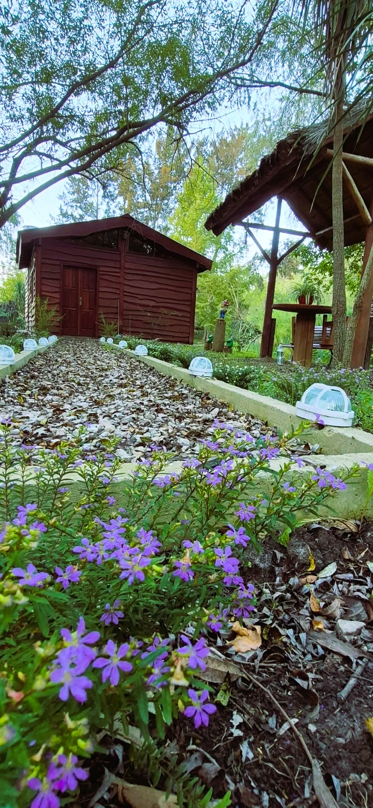 Vista del deck exterior