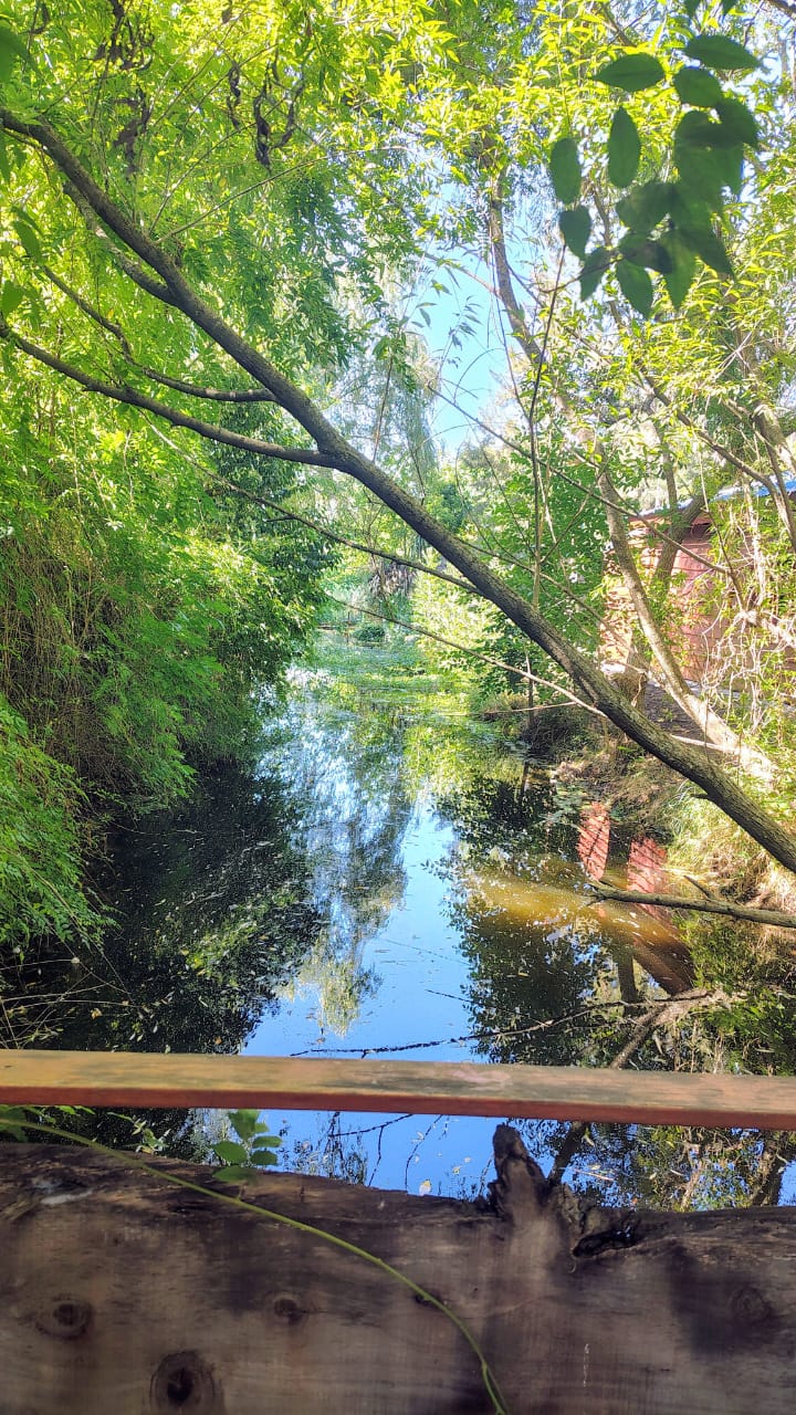 Cabaña Escondida en Arana